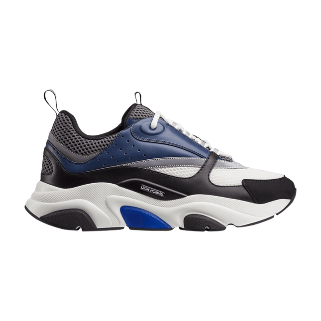 Dior B22 Grey Blue White