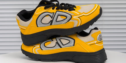 Dior B30 shoes