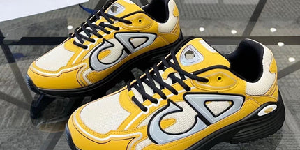 Dior B30 running shoes