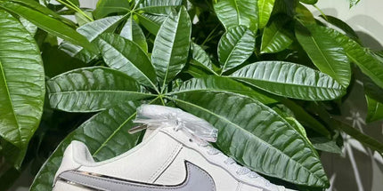Low-Top Casual Sneakers