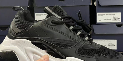 Dior B22 retro breathable shoes