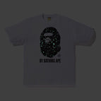 8105 white