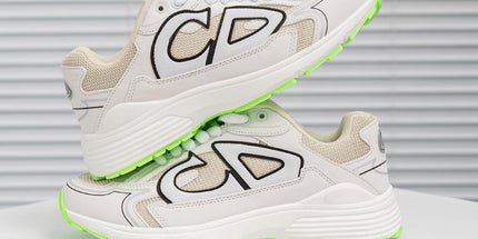 Dior B30 shoes