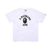 S (Speedy Shipping) / White-green (storing priority shipment)