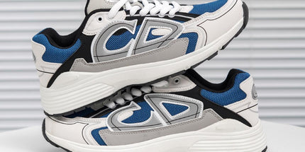 Dior B30 shoes