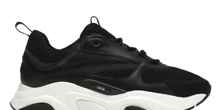 Dior B22 All Black